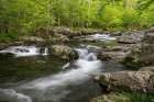 Spring view of Little Pigeon River-Greenbrier area-Great Smoky Mountains National Park-Tennessee Art Print
